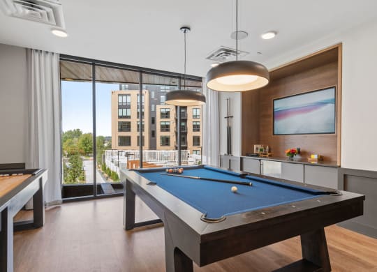 Game Room with Pool Table