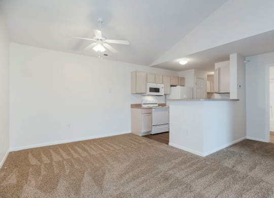 Spacious Living Area with Carpet