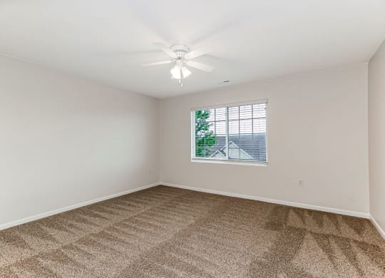 Bedroom with Plush Carpeting