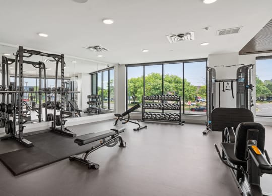 Fitness Center with Weights
