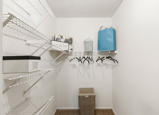 Spacious Walk-In Closet