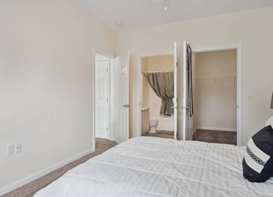 Bedroom with Large Closet