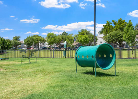 Dog Park with Equipment