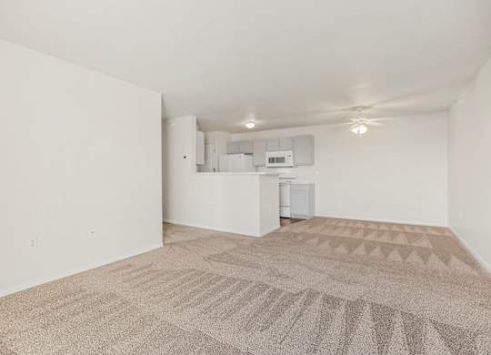Spacious Living Area with Carpet