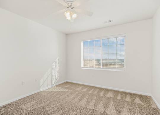Bedroom with Plush Carpeting