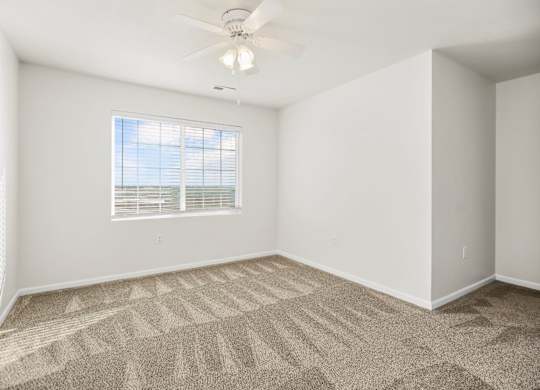 Bedroom with Abundant Natural Light
