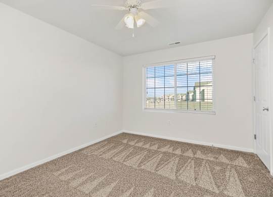 Bedroom with Plush Carpeting