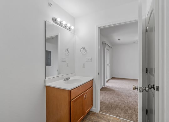 Bathroom Vanity