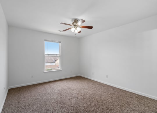 Bedroom with Plush Carpeting