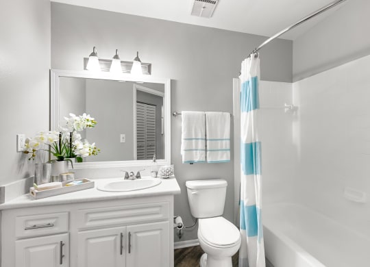 Bathroom Featuring White Vanity & Shower With Tub