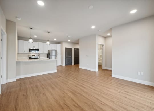 Spacious Living Area With Wood-Style Flooring