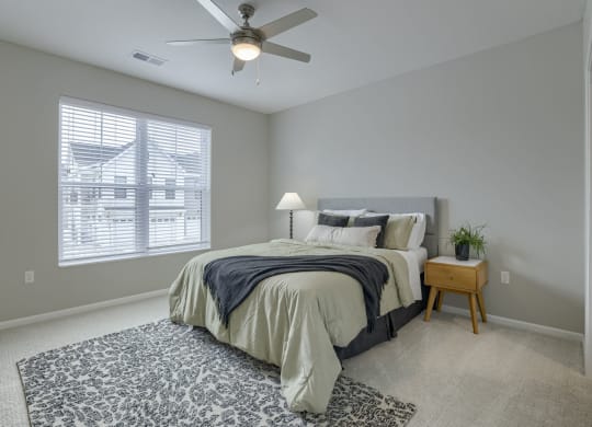 Bedroom with Plush Carpeting