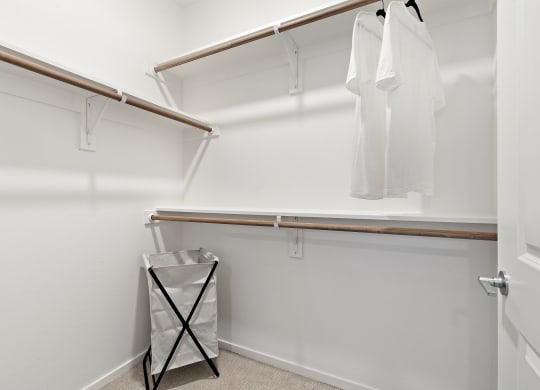 Walk-In Closet With Built-In Shelving