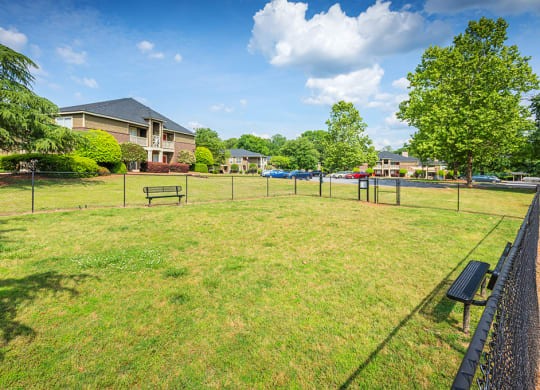 Fenced-In Dog Park