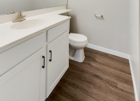 Bathroom with Hardwood Style Flooring and Upgraded Hardware