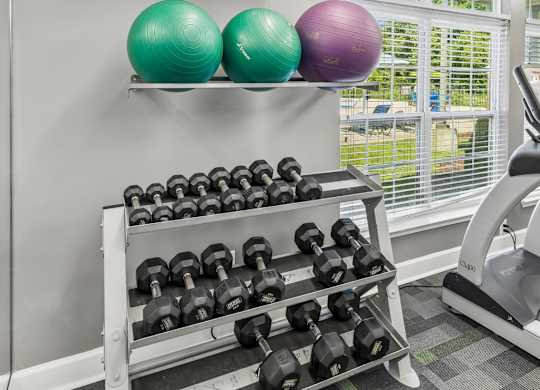 Gym with Dumbbell Equipment