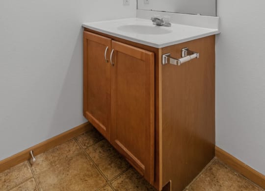 Bathroom Vanity
