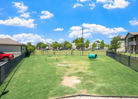 Dog Park