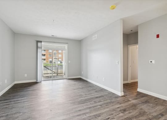 Spacious Living Area With Wood-Style Flooring