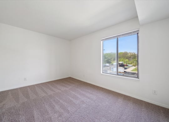 Bedroom with Abundant Natural Light