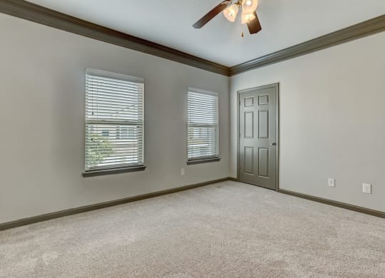 Carpeted Bedroom With Windows