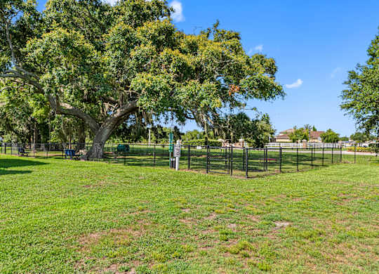 Dog Park
