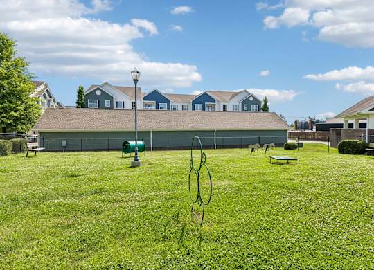 Dog Park with Equipment