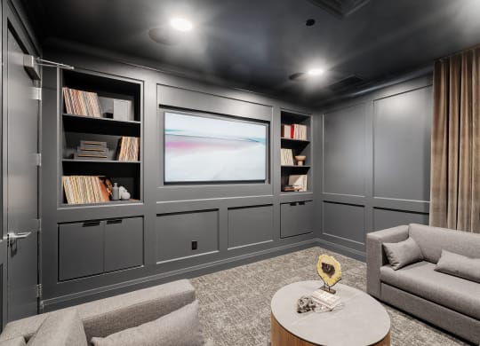 Private Theatre Room