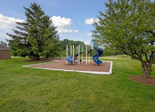 Playground Area
