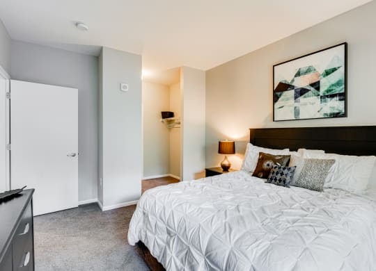 Spacious Bedroom With Walk-