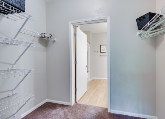 Carpeted Walk-In Closet