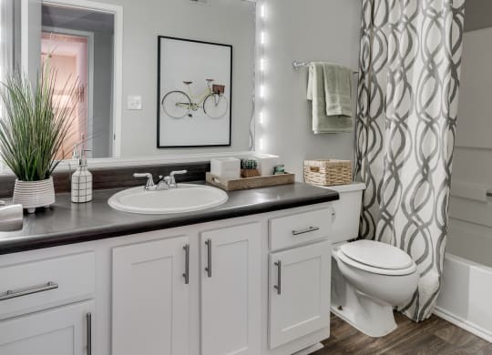 Spacious Bathroom With Wood-Style Flooring