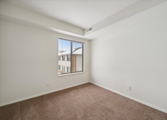 Bedroom with Plush Carpeting