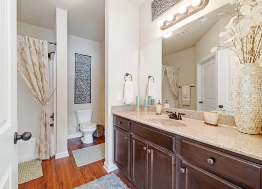 Bathroom With Granite Vanities