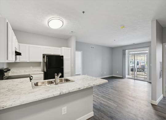 Spacious Living Area With Wood-Style Flooring