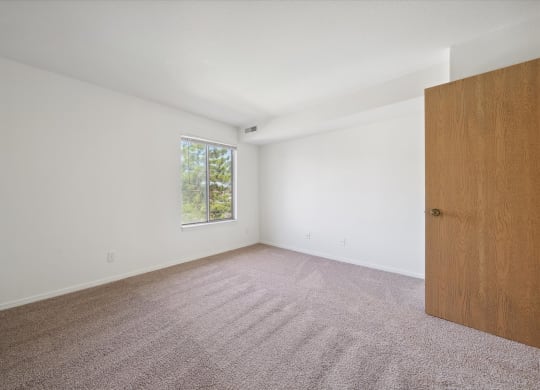 Bedroom with Plush Carpeting