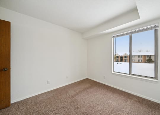 Bedroom with Plush Carpeting