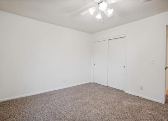 Bedroom with Plush Carpeting