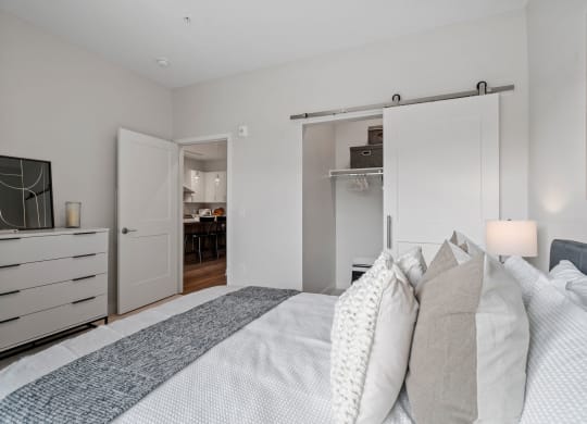 Bedroom Feautring Walk-In Closet With A Sliding Barn Door