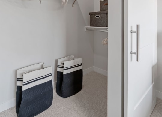 Walk-In Closet With Sliding Barn Door