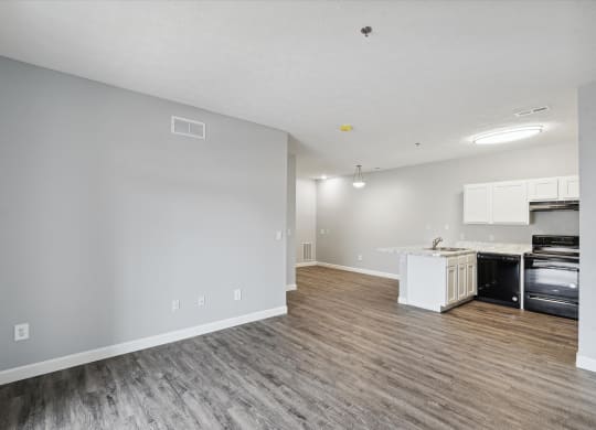 Spacious Living Area With Wood-Style Flooring