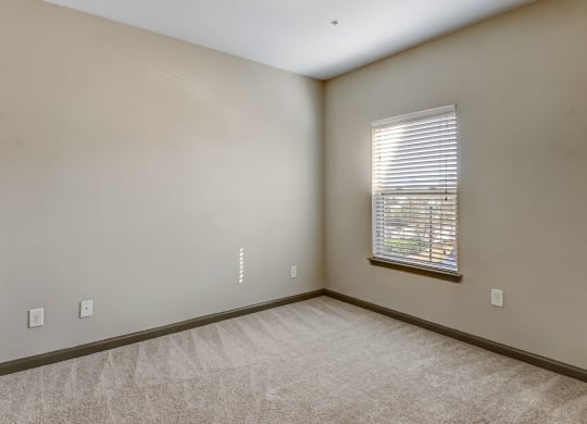 Spacious Bedroom with Plush Carpeting