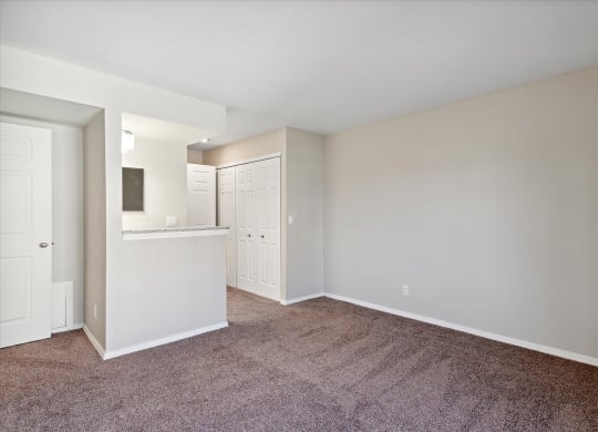 Bedroom with Plush Carpeting