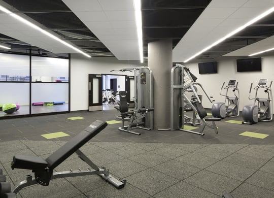 Weight Equipment at the 24-Hour Fitness Center