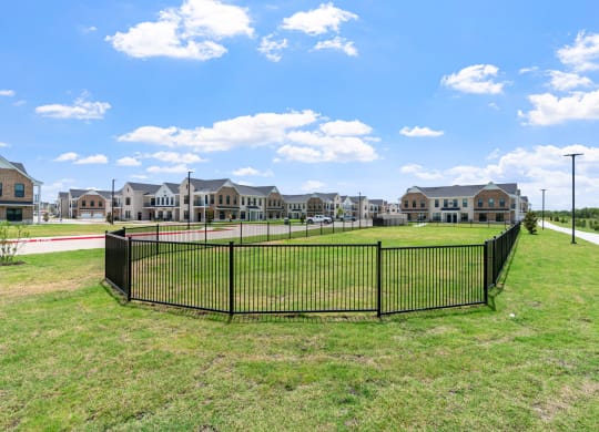 Dog Park