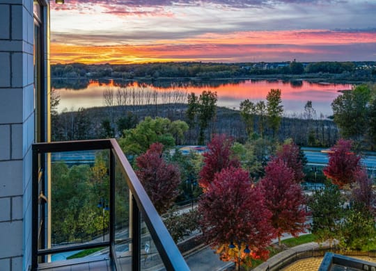 Balcony with Wooded Views