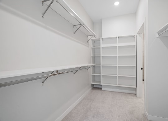 Spacious Walk-In Closet with Built-In Shelving