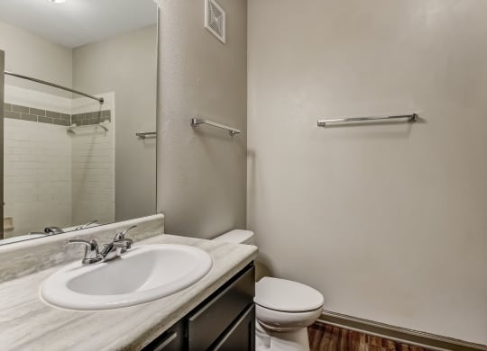 Bathroom with Modern Finishes
