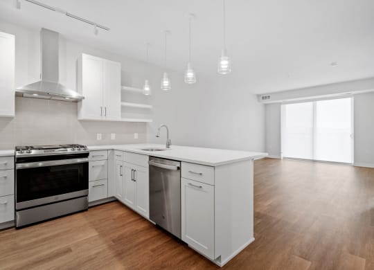 Spacious Living Area With Wood-Style Flooring
