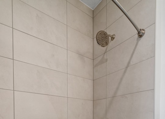Shower with Tile Backsplash